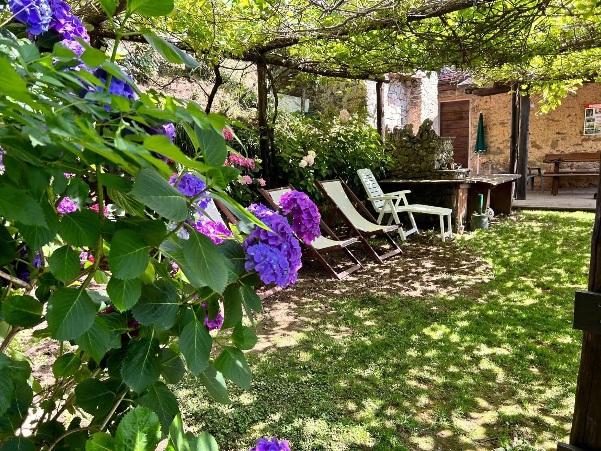 Il Frutteto Natura A Relax Stazzema Kültér fotó