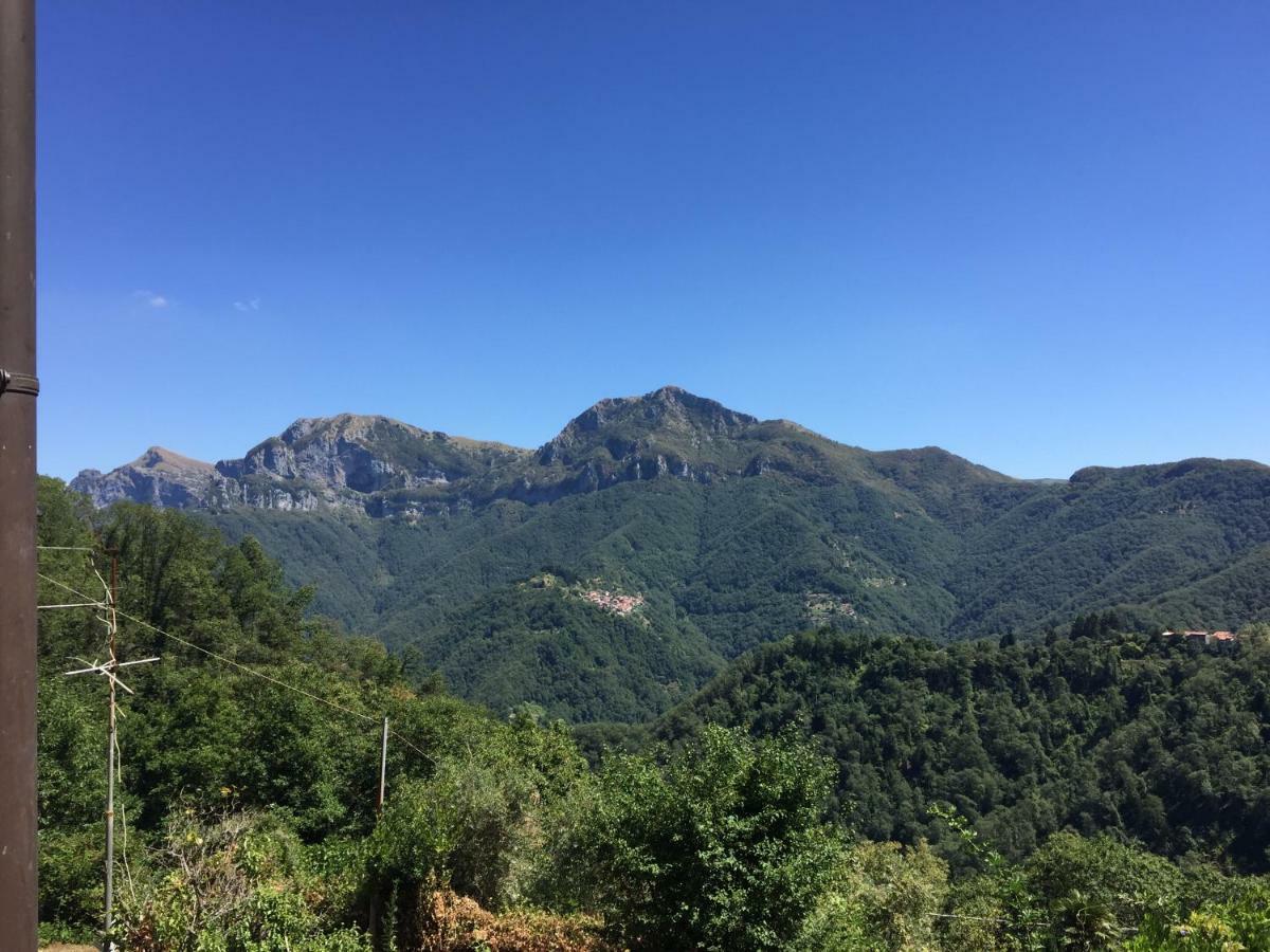 Il Frutteto Natura A Relax Stazzema Kültér fotó