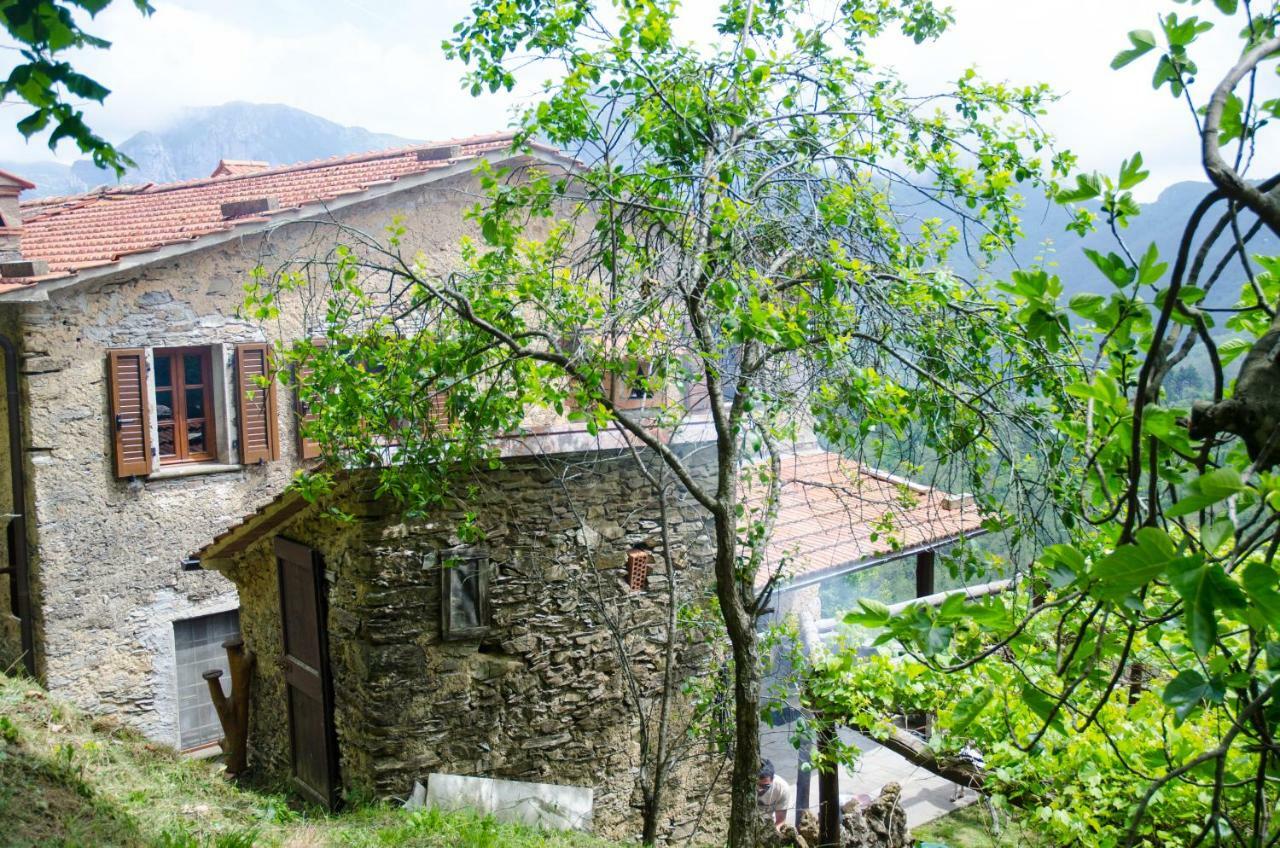 Il Frutteto Natura A Relax Stazzema Kültér fotó